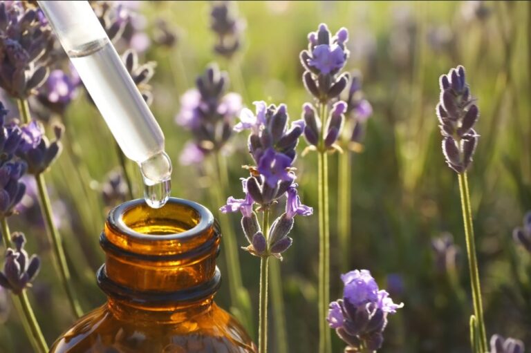 Four Different Methods of Producing Essential Oils