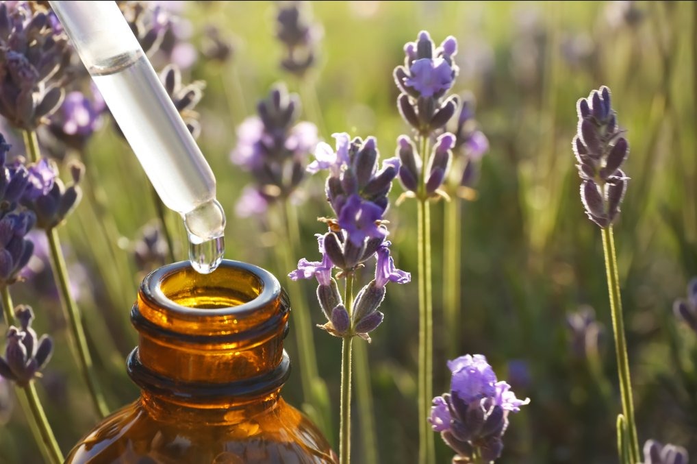 Four Different Methods of Producing Essential Oils
