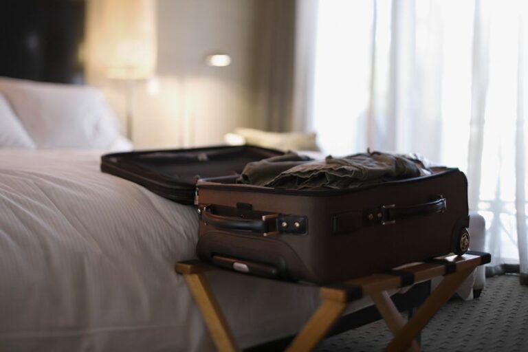 How Bed Bugs Travel From Luggage to Living Room
