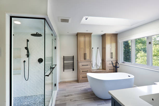 Walk-In Shower Renovation Ideas for Modern Homes