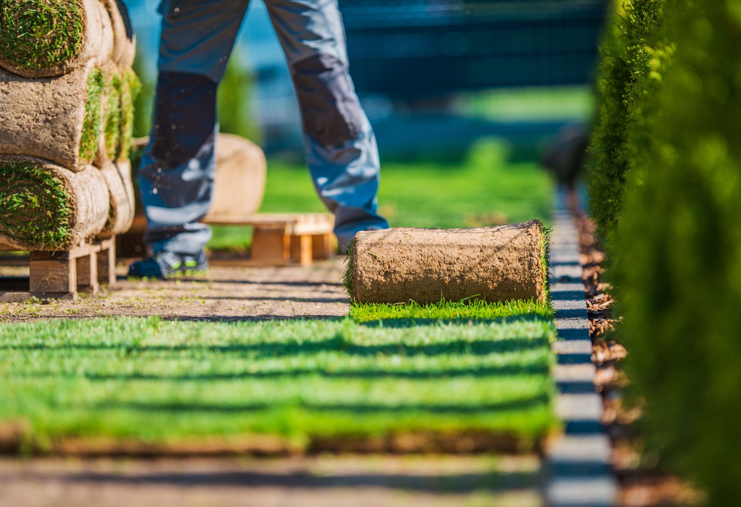 Sydney Turf and Landscaping