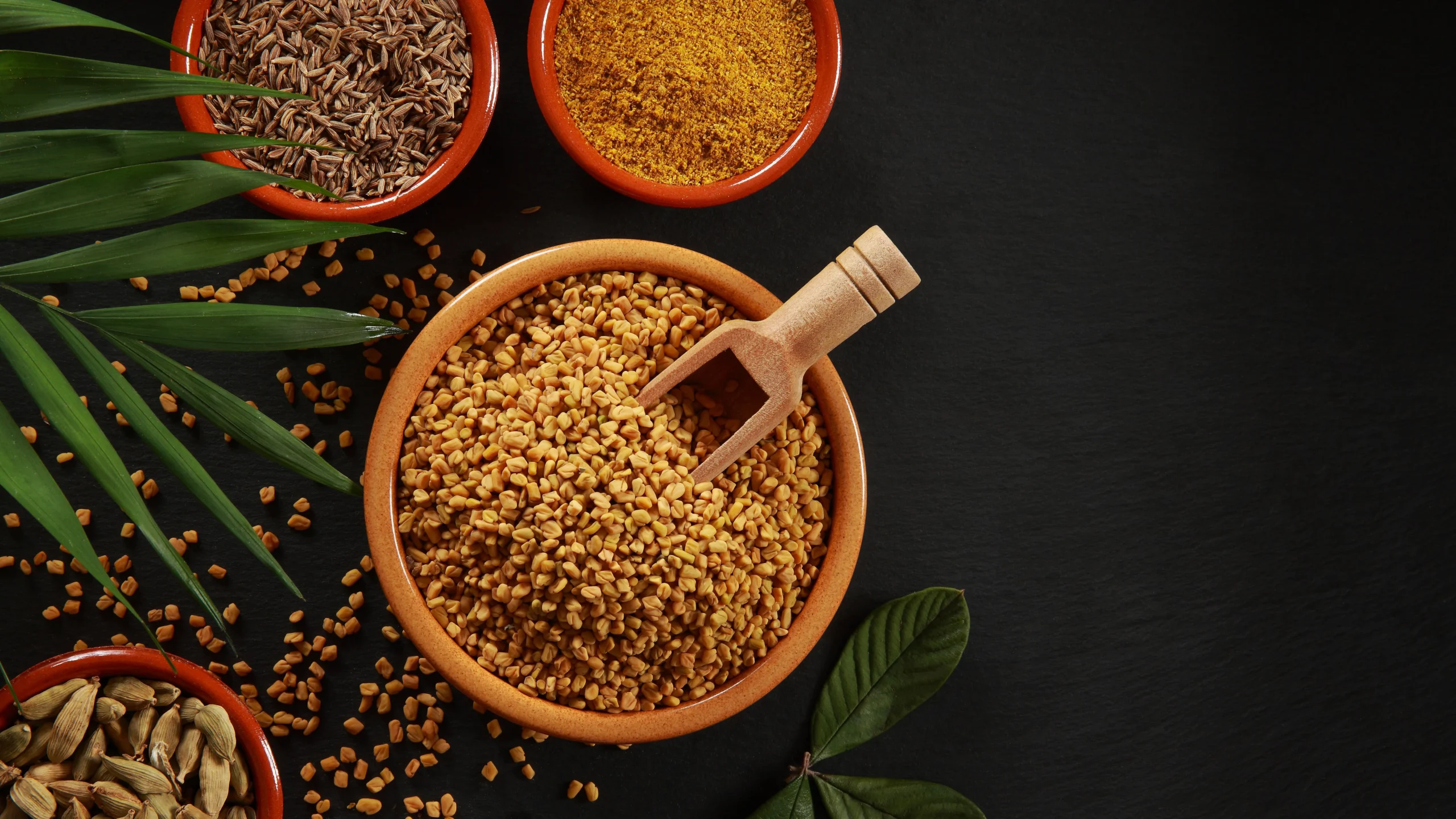 Foenegriek: Benefits Uses Nutrition and the Growing Global Interest Fenugreek